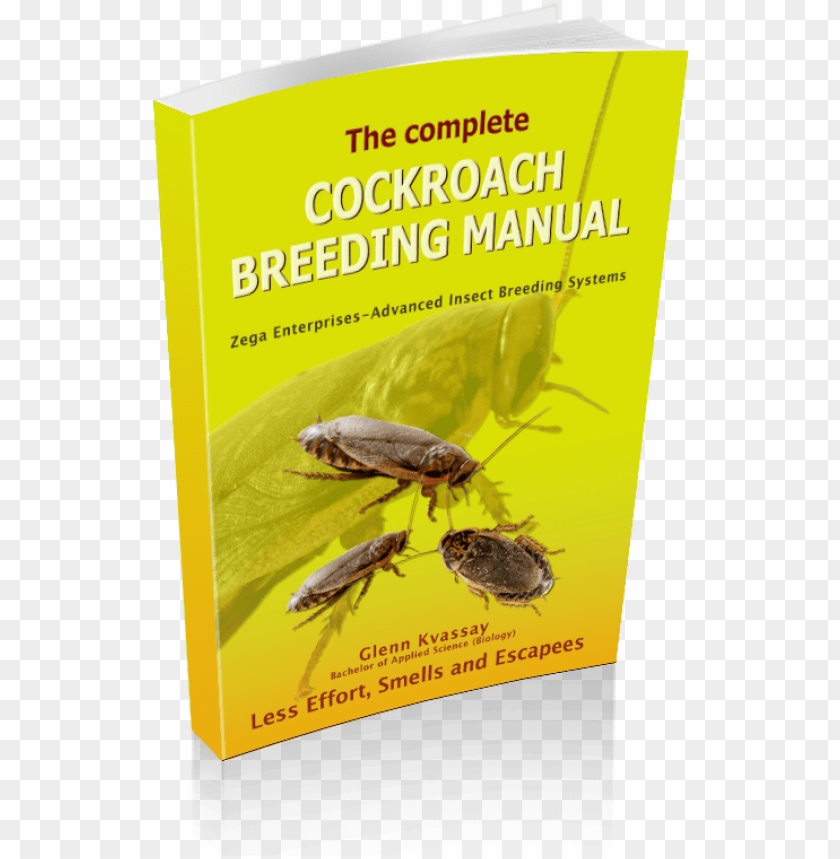 free PNG breeding cockroaches with less effort smells and escapees - complete cockroach breeding manual by mr glenn kvassay PNG image with transparent background PNG images transparent