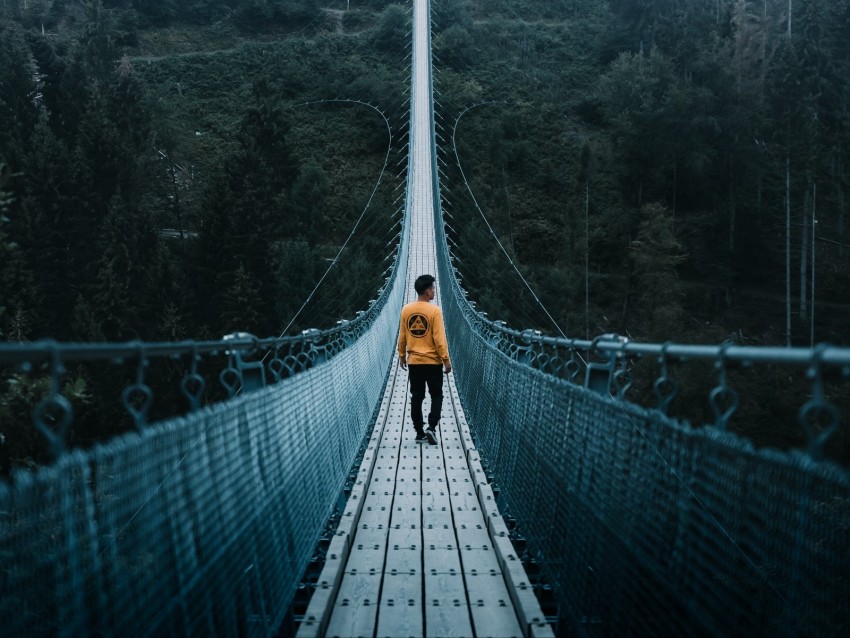 bridge, man, loneliness, cable bridge, nature