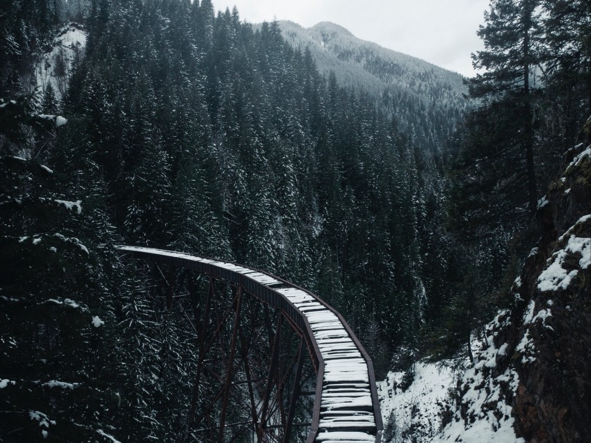 bridge, railway, snow, trees, mountains, snowy