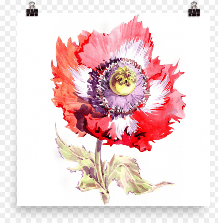 background, dirty, watercolor flower, splatter, banner, set, water color