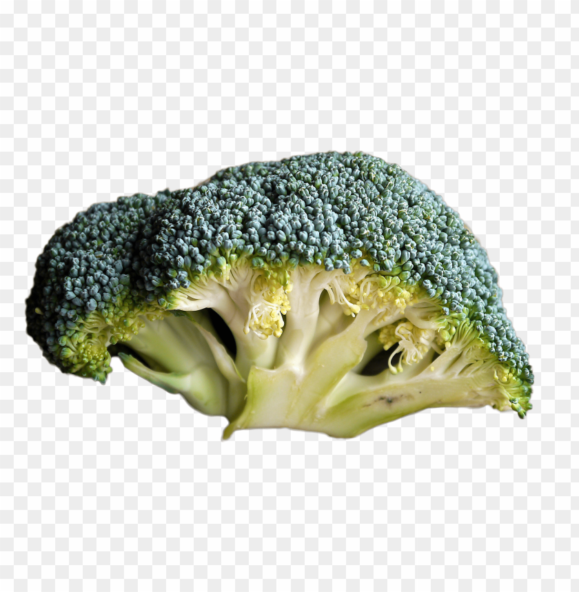 
vegetables
, 
fresh
, 
healty
, 
green
, 
food
, 
broccoli
