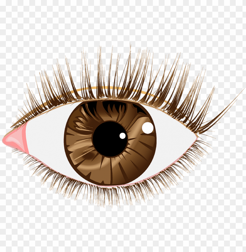 eye lashes, eye clipart, eye glasses, lashes, eye patch, illuminati eye