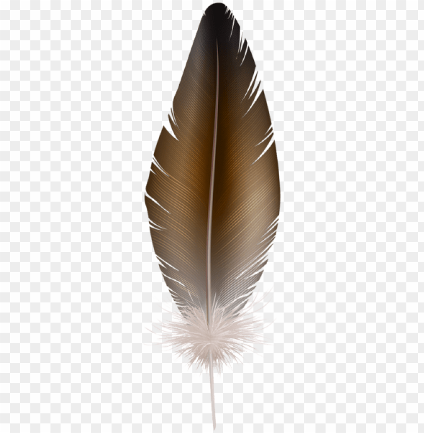 brown feather
