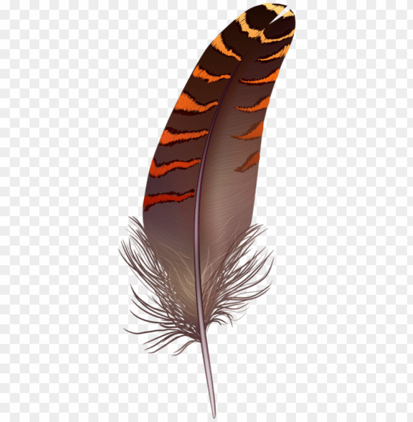 brown feather png