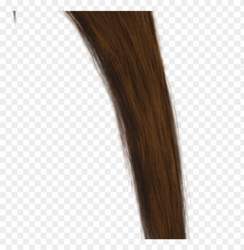 Brown Hair Extentions Roblox