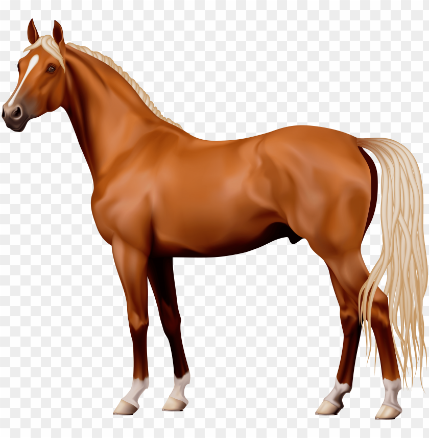 free PNG brown horse png clipart - horse PNG image with transparent background PNG images transparent