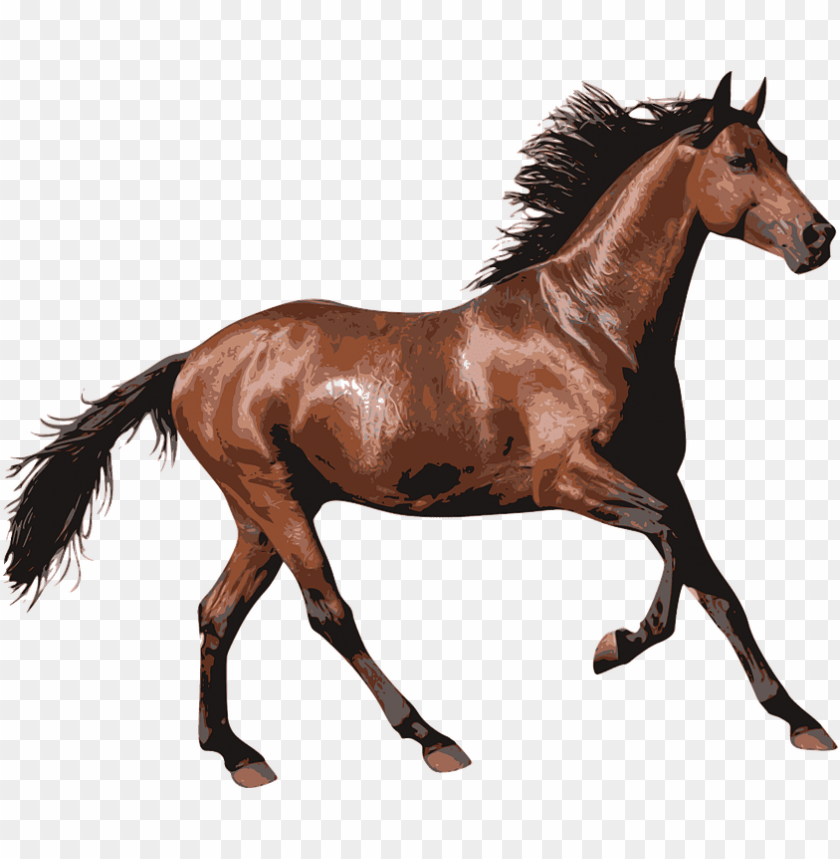 Download brown race horse png images background@toppng.com