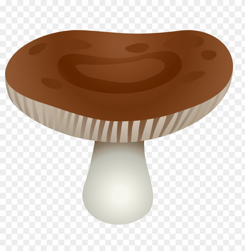 brown, mushroom, transparent