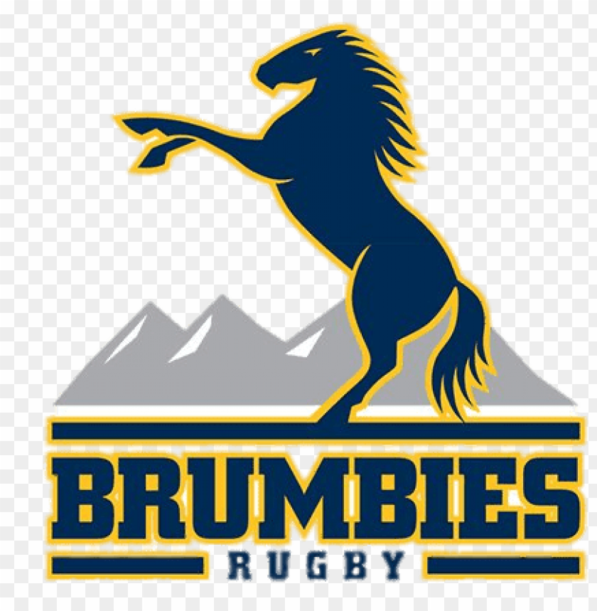 sports, rugby teams australia, brumbies rugby logo, 