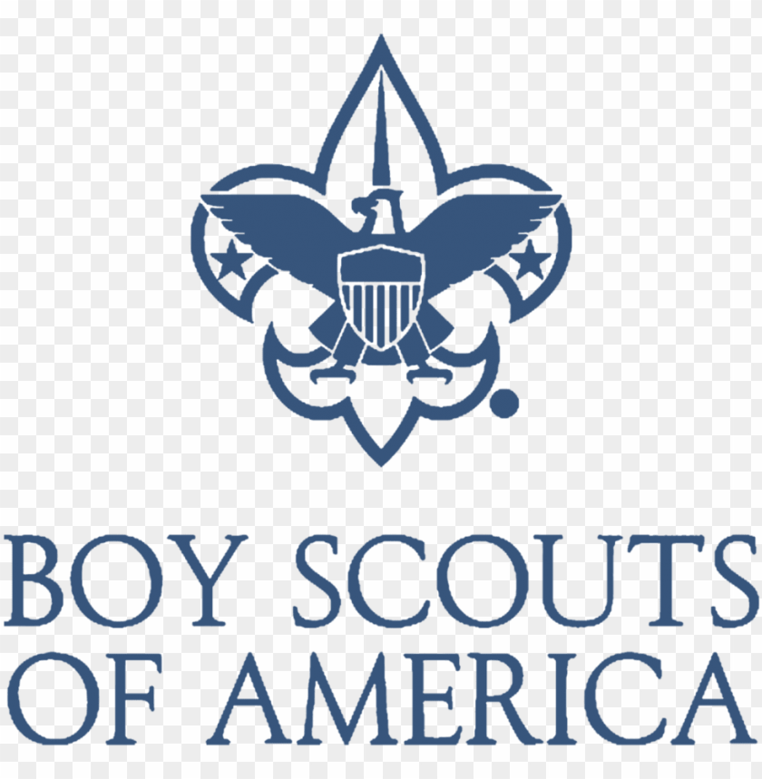 VTG BOY SCOUTS OF AMERICA Metal EMBLEM BSA Logo Badge District Award of  Merit | eBay