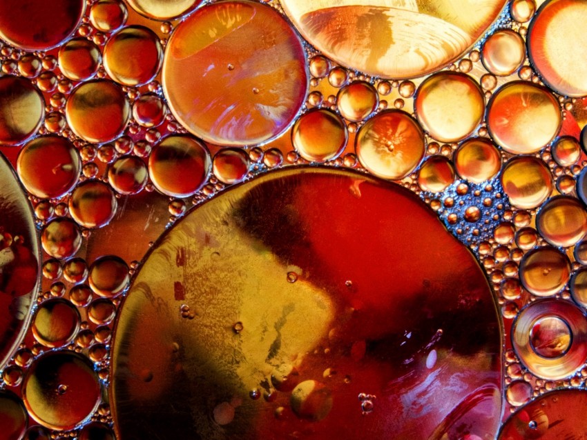 bubbles, liquid, circles, macro, close-up
