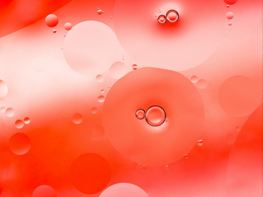 bubbles, liquid, macro, circles