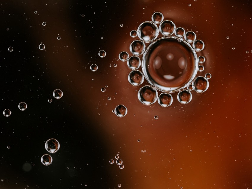 bubbles, liquid, macro, closeup