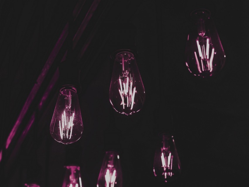 bulbs, lamps, light, purple