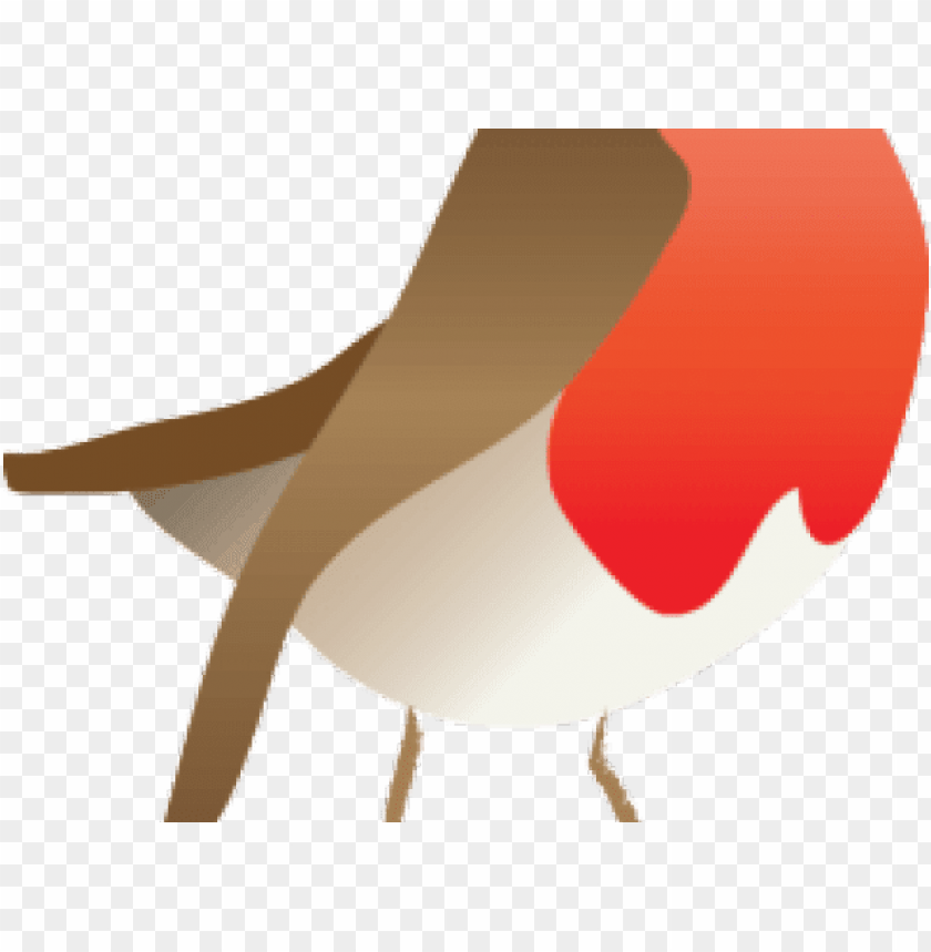 illustration, drawing, robin bird, pattern, background, isolated, bird