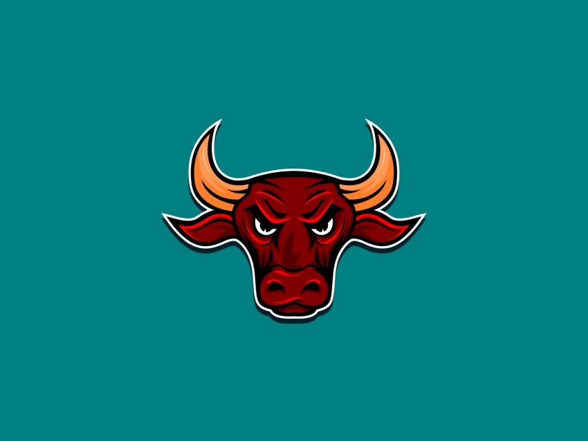 bull, angry, horns, vector