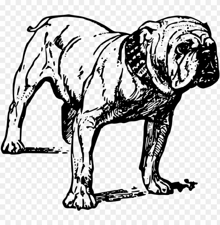 Bulldog Clipart PNG Transparent With Clear Background ID 277624