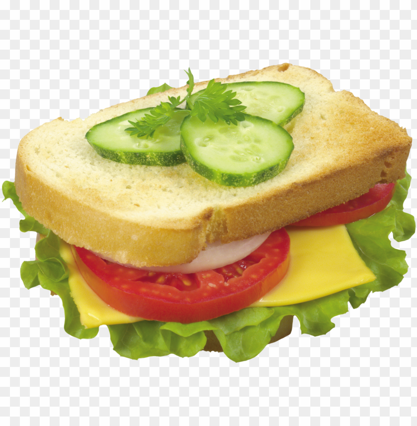 burger and sandwich, food, burger and sandwich food, burger and sandwich food png file, burger and sandwich food png hd, burger and sandwich food png, burger and sandwich food transparent png