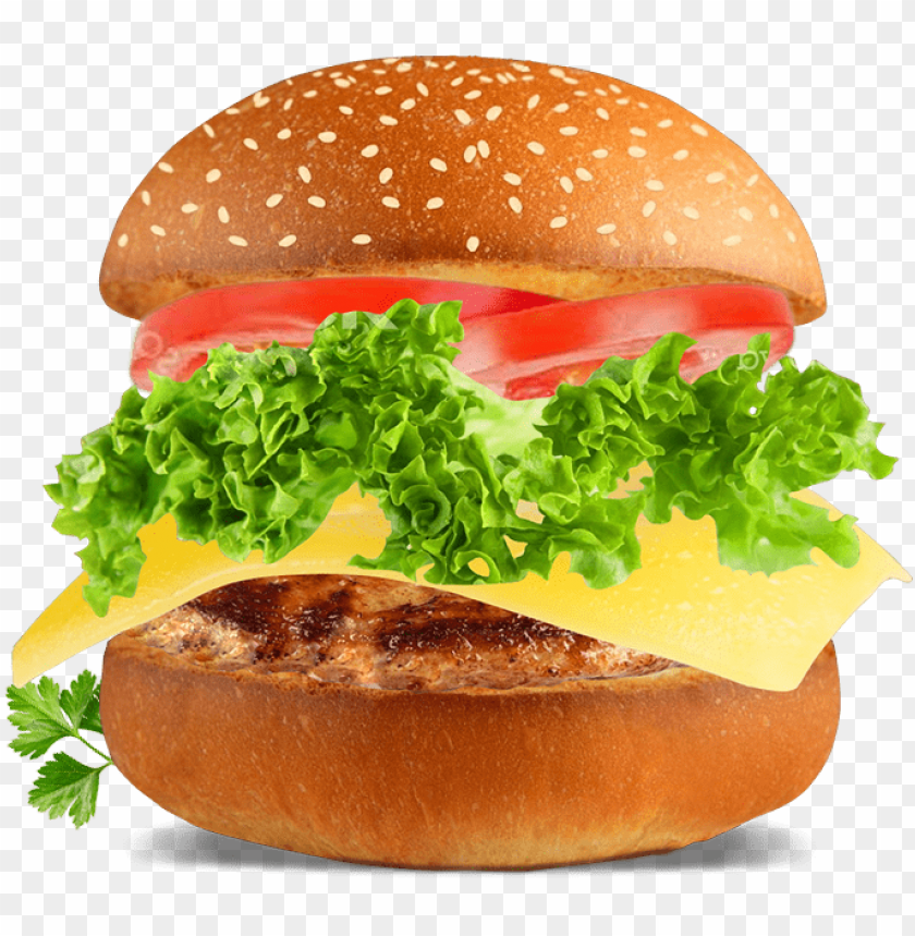 burger,food