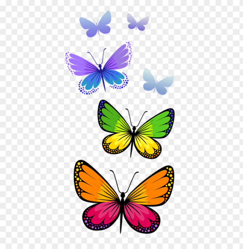 butterflies ,butterfly ,moth ,tortoiseshell
