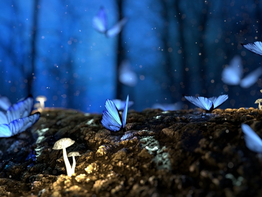 butterflies, mushrooms, forest, fantasy, blue