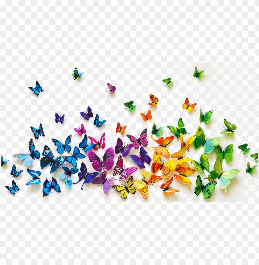 Flying Butterflies Transparent Background HD Png Download  Transparent Png  Image  PNGitem
