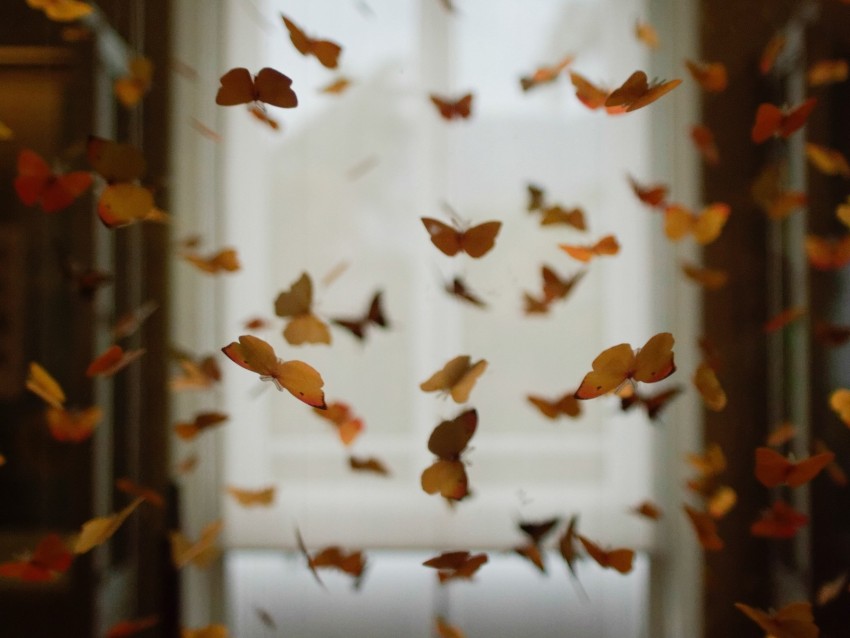 butterflies, space, decoration, design, blur
