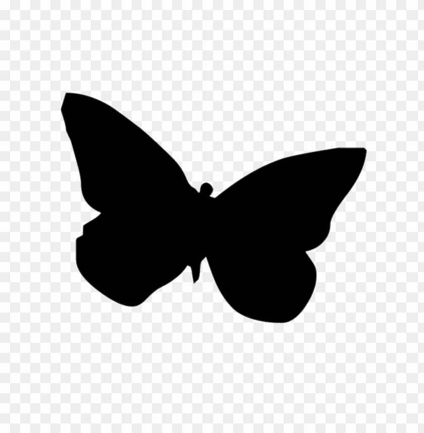 miscellaneous, silhouettes, butterfly, 