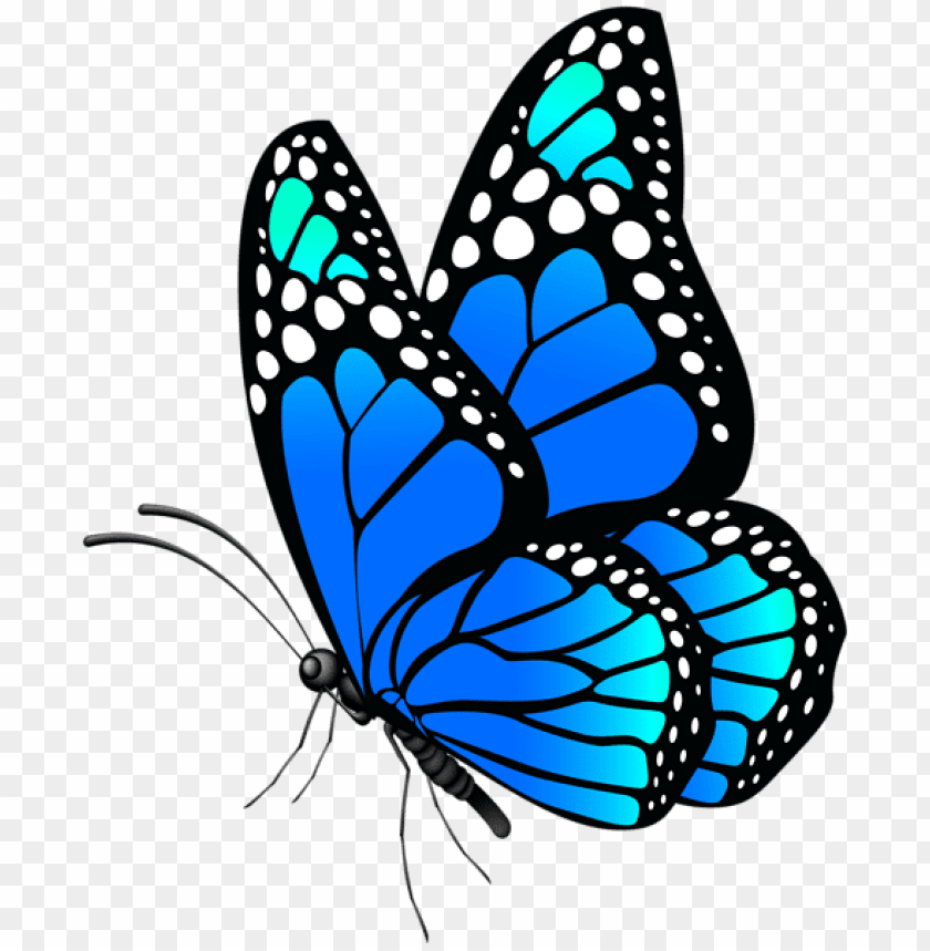 Download Butterfly Blue Clipart Png Photo Toppng