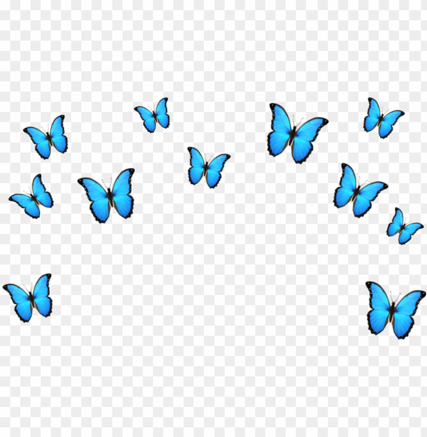 butterfly emoji blue crown tumblr cute papilio PNG transparent with Clear Background ID 167237