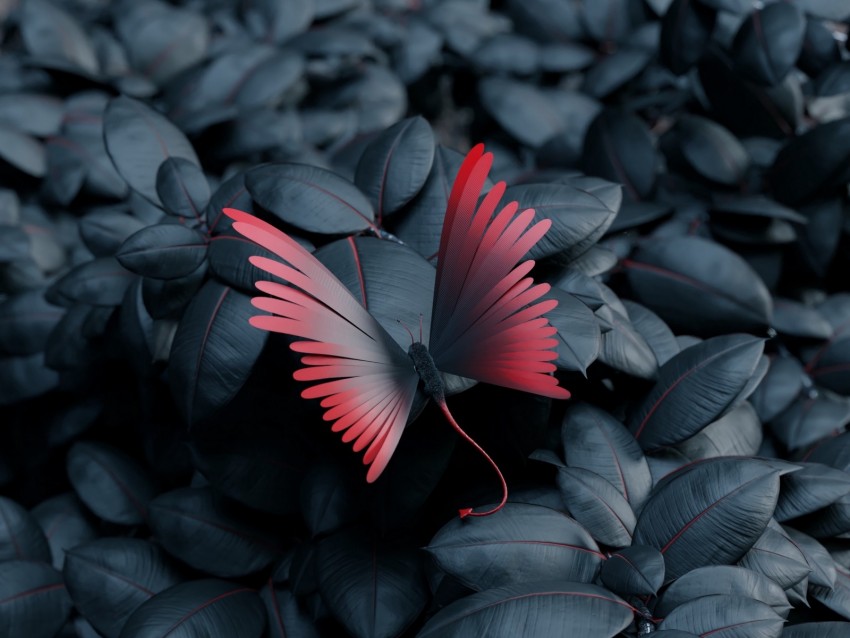 butterfly, leaves, wings, contrast