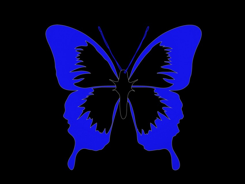 butterfly, minimalism, black, blue
