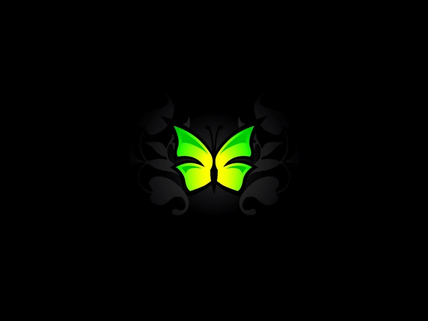 butterfly, patterns, light green, vector