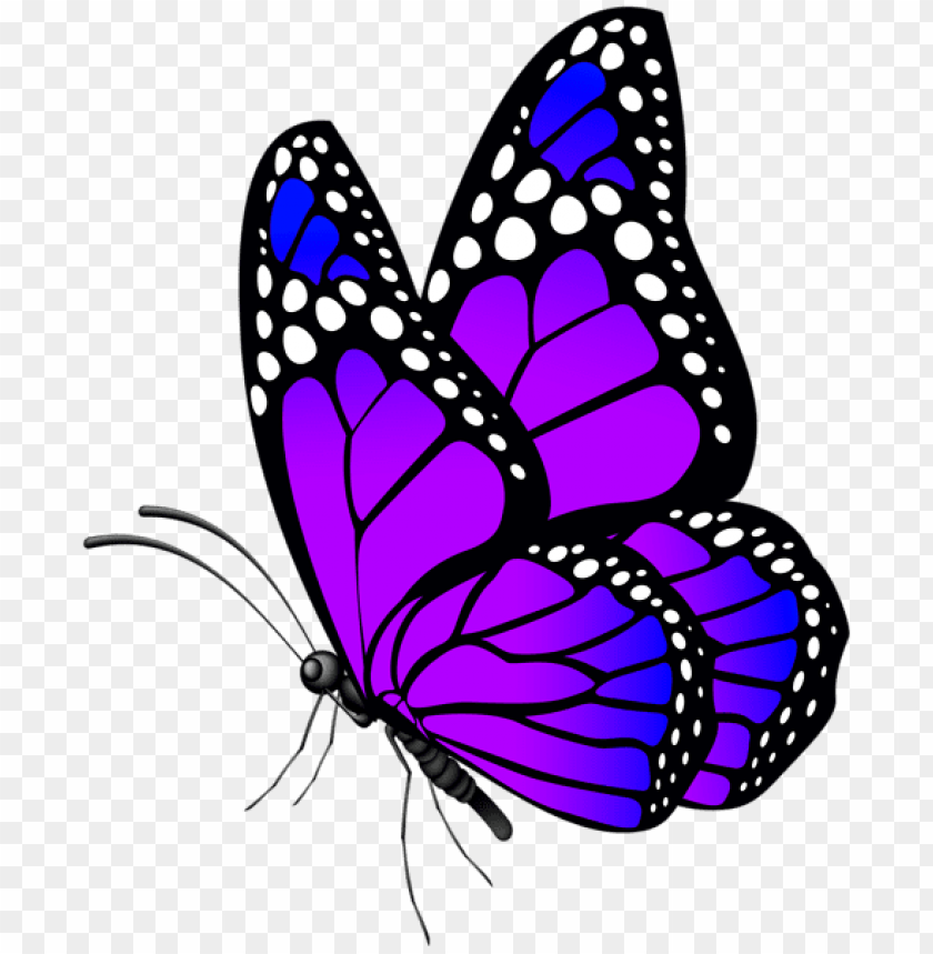 Free Free 263 Purple Butterfly Svg Free SVG PNG EPS DXF File