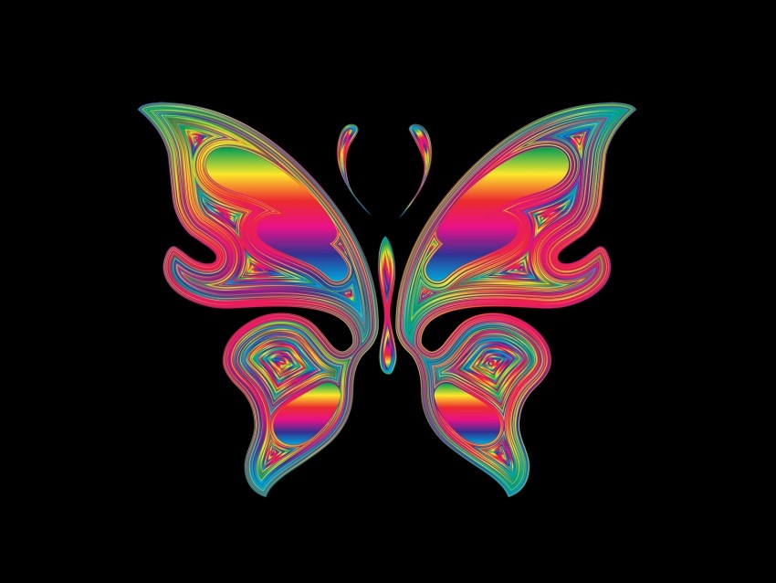 butterfly, shine, multicolored, chromatic, prismatic