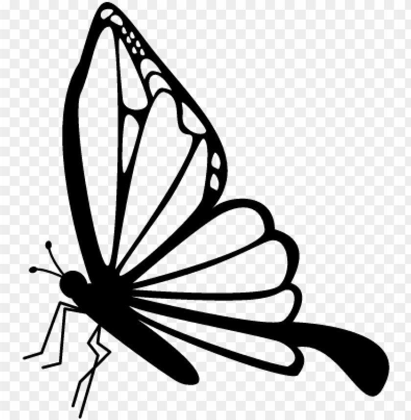Download Butterfly Side View Drawing Png Image With Transparent Background Toppng