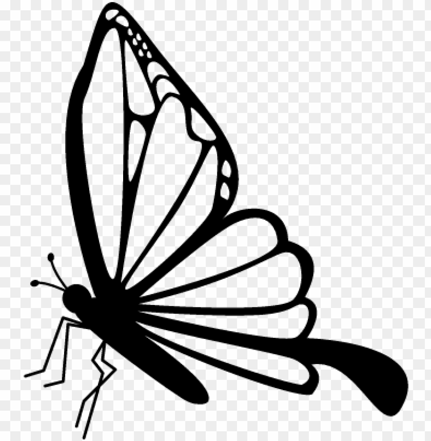 Free Free 78 Drawing Side Butterfly Svg SVG PNG EPS DXF File