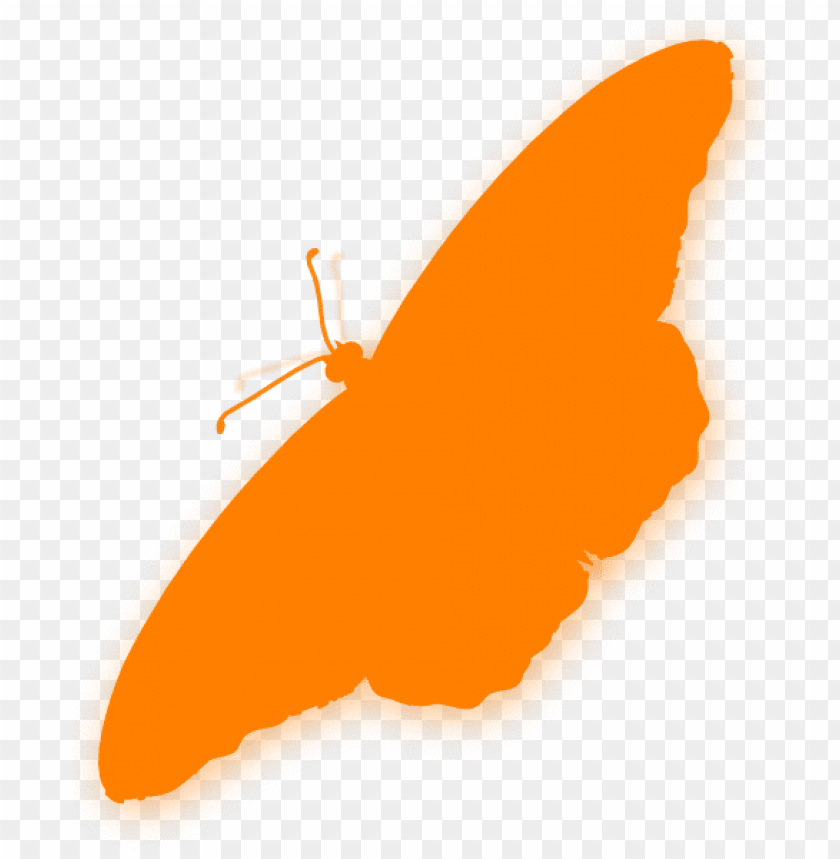 insect, orange cone, illustration, warning, wing, construction, background