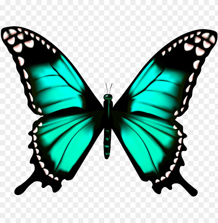 Butterfly Clip Art Imageu200b Gallery - Butterfly Wings PNG Transparent Background