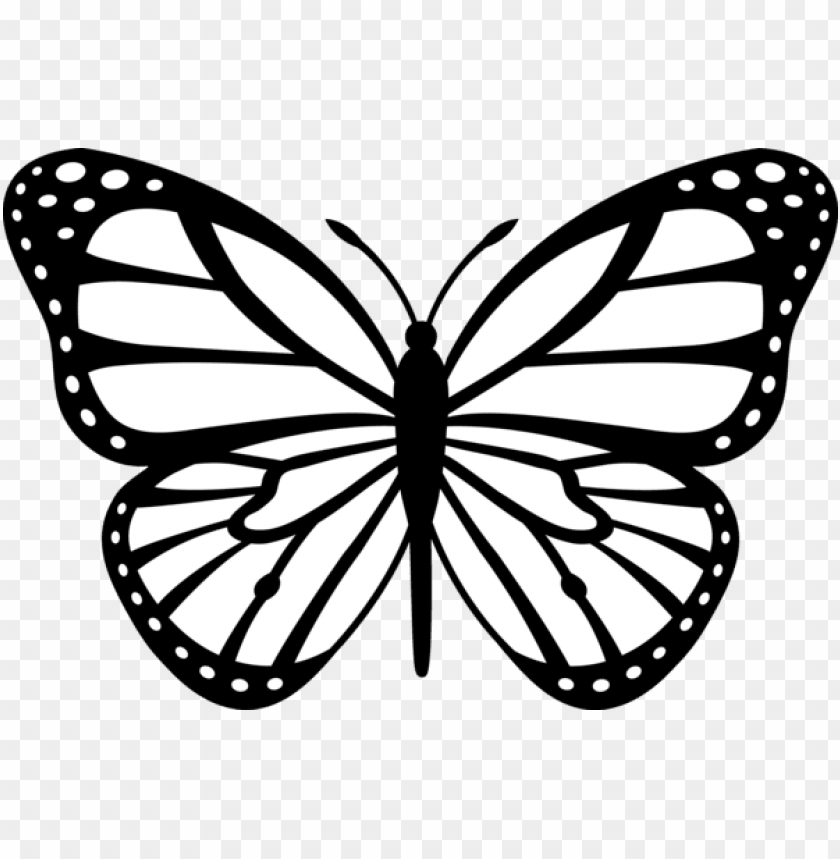 Featured image of post Transparent Background Clear Butterflies Png : Here you can explore hq butterfly transparent illustrations, icons and clipart with filter setting like size, type, color etc.
