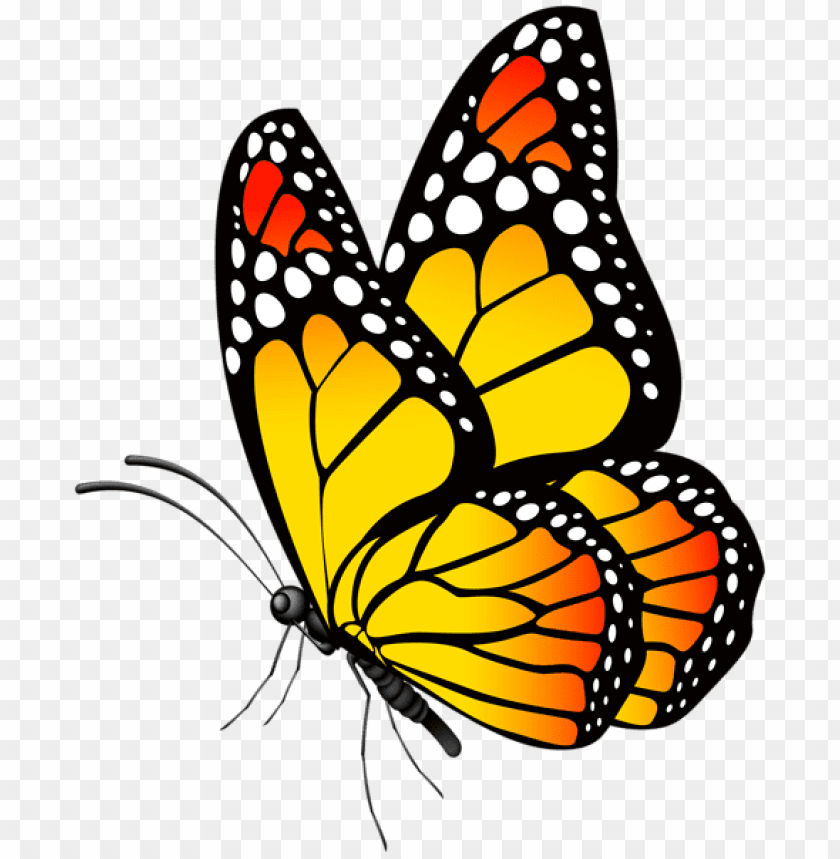 Download Download Butterfly Yellow Clipart Png Photo Toppng