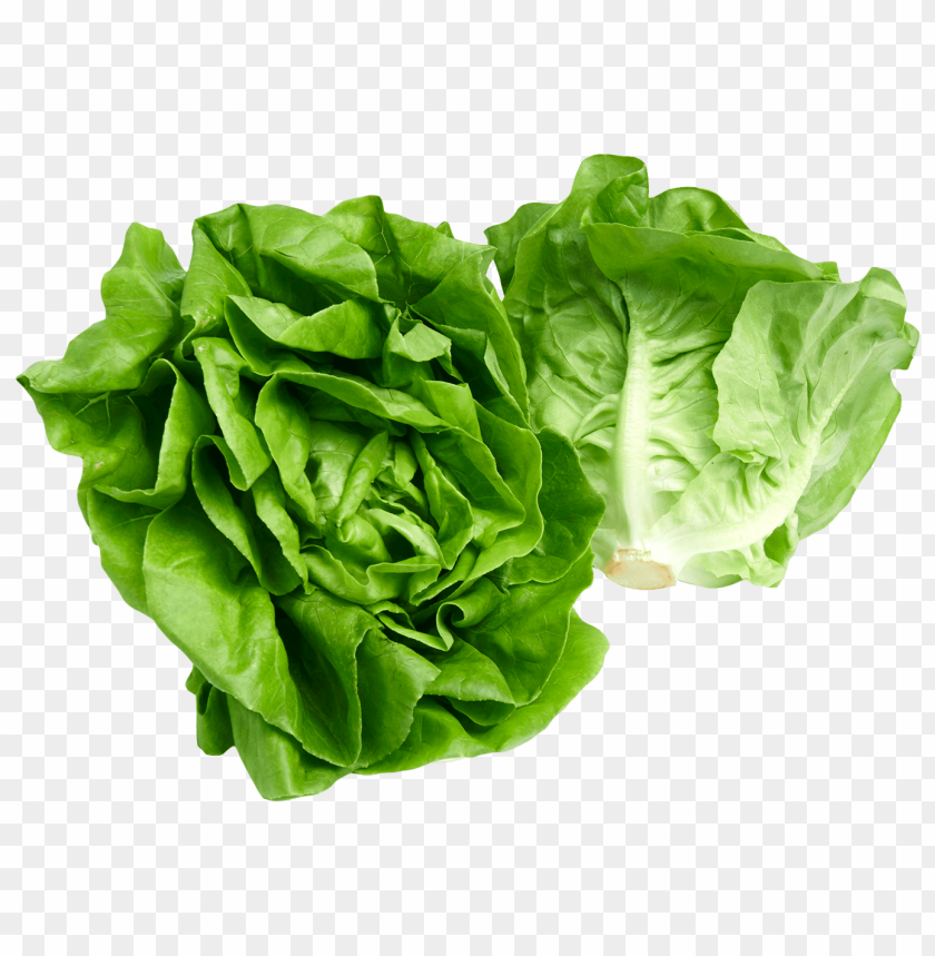 
vegetables
, 
salad
, 
leaf
, 
lettuce
, 
leaves
, 
butterhead lettuce
