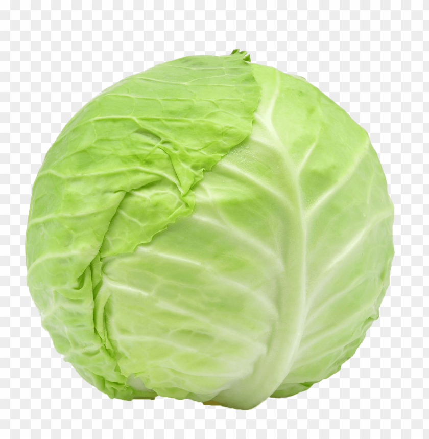 
cabbage
, 
vegetables
, 
green
, 
food
, 
cale
, 
nonesense
