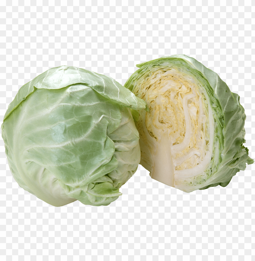 
cabbage
, 
plant
, 
vegetables
, 
green
