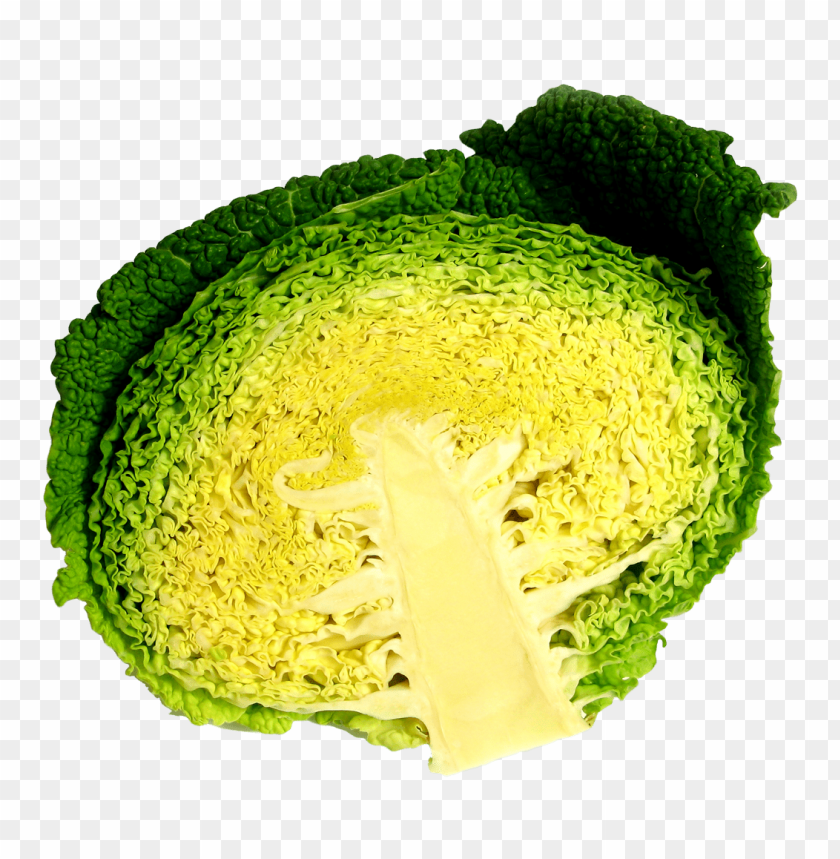 
vegetables
, 
cabbage
, 
half cabbage
