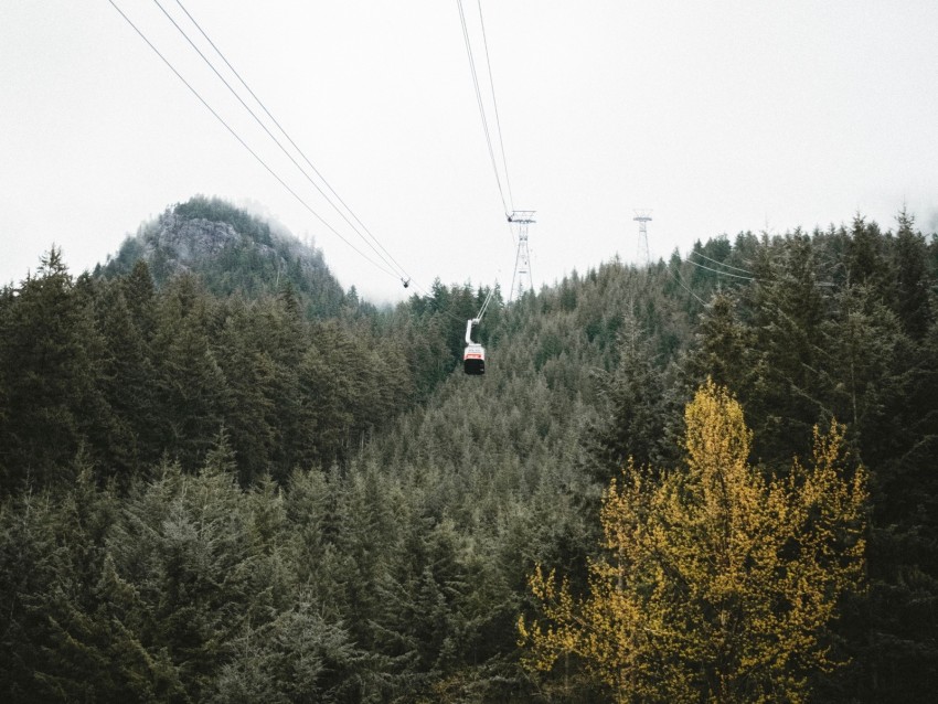 cableway, forest, trees, mountains, height