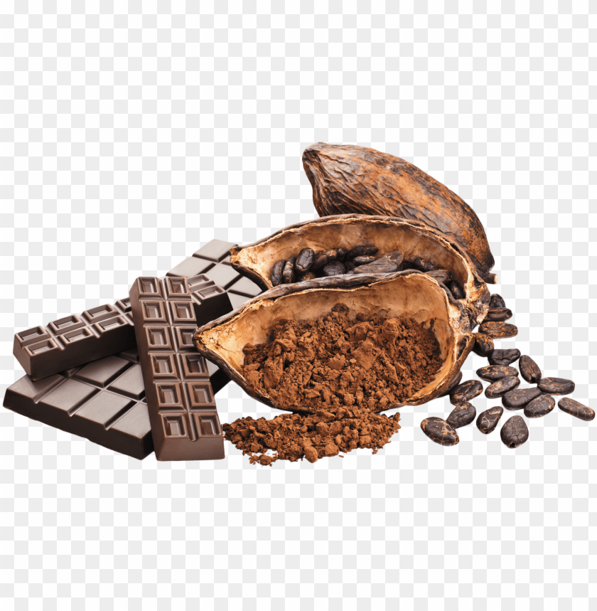 
cacao
, 
cacao bean
, 
cocoa
, 
theobroma cacao
