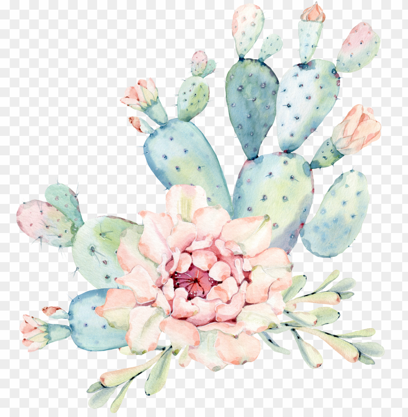 watercolor flower, tree, cactus, decoration, dirty, decorative, leaf