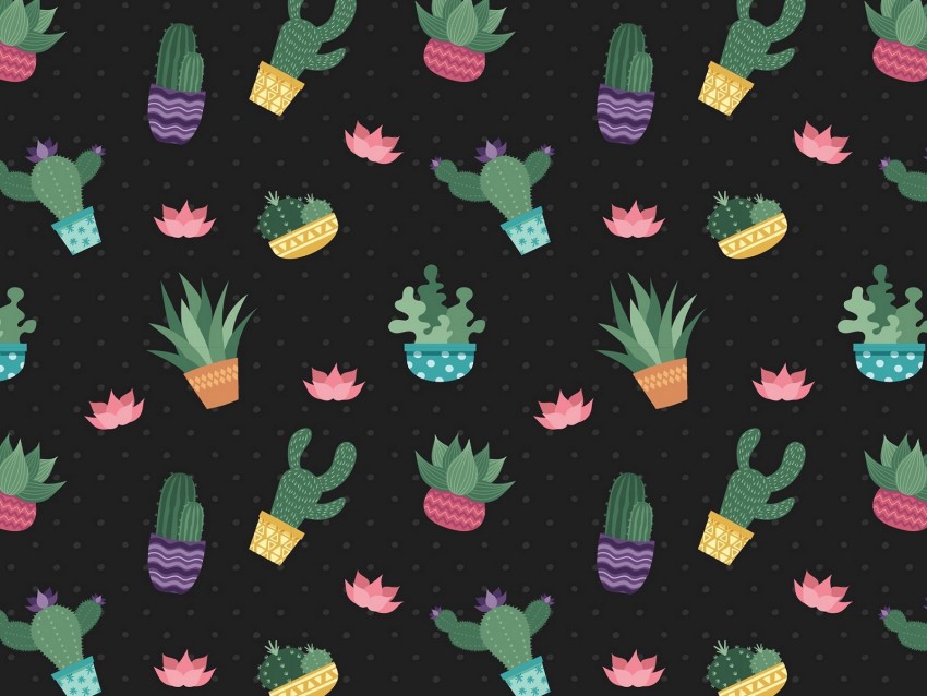 cacti, flowers, pattern, art