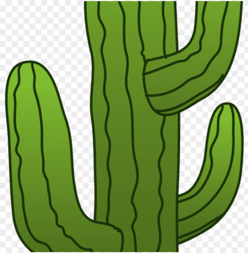 free PNG cactus clipart mexican - cactus clipart transparent background PNG image with transparent background PNG images transparent
